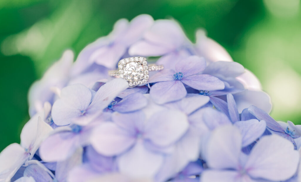 A stunning ring in the glowing sunlight during a Raleigh engagement photography session by JoLynn Photography