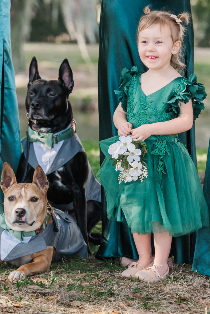A flower girl and puppies of honor watching the bride walk down the aisle at a Savannah Destination Wedding