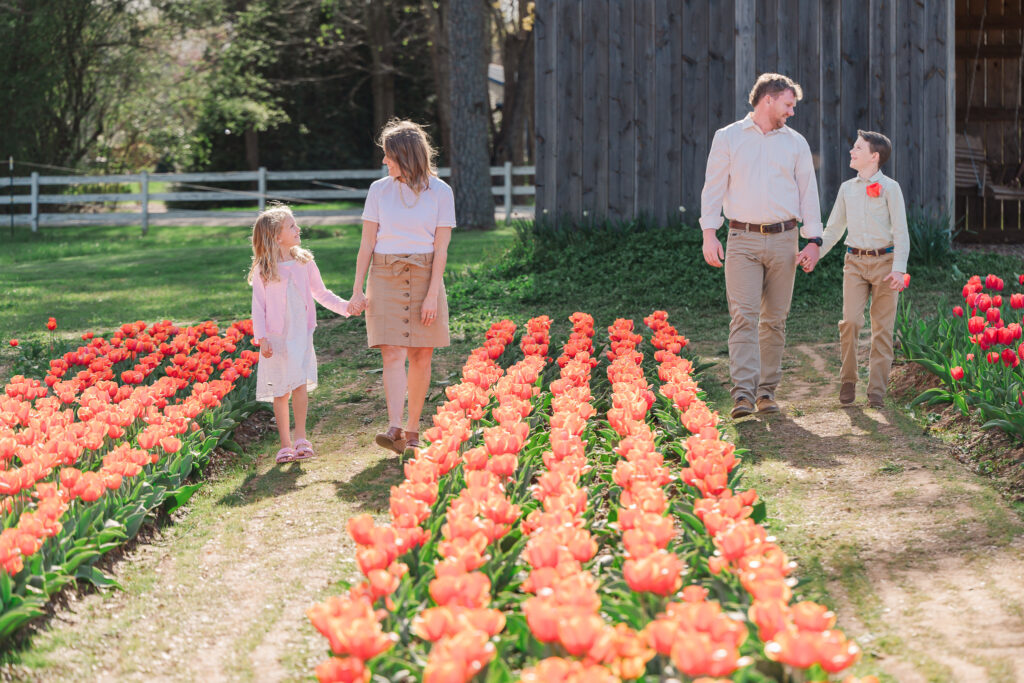 A loving family walking in endless tulips during their warm family portrait session by Greensboro family photographer, JoLynn Photography