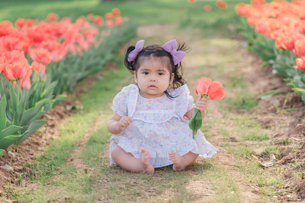 A toddler playing with tulips by JoLynn Photography