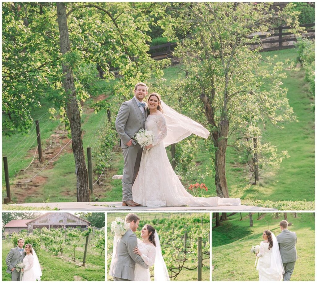 Glowing summer wedding portraits in the Blue Ridge Mountains by JoLynn Photography