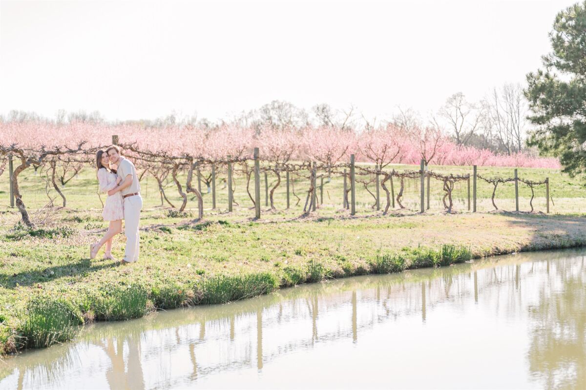 A happy couple hug by a pond in front of grapevines in a pink dress and white shirt and pants