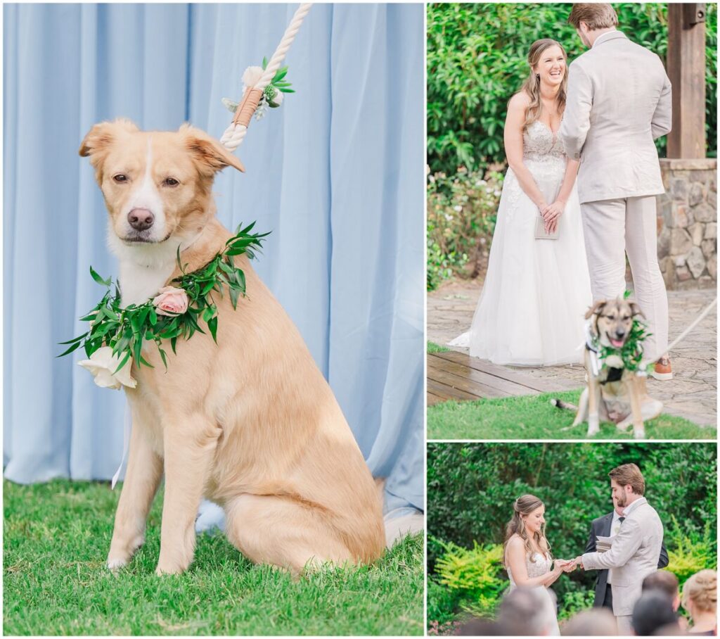 A beautiful wedding ceremony at The Pavilion at Carriage Farm in the summertime