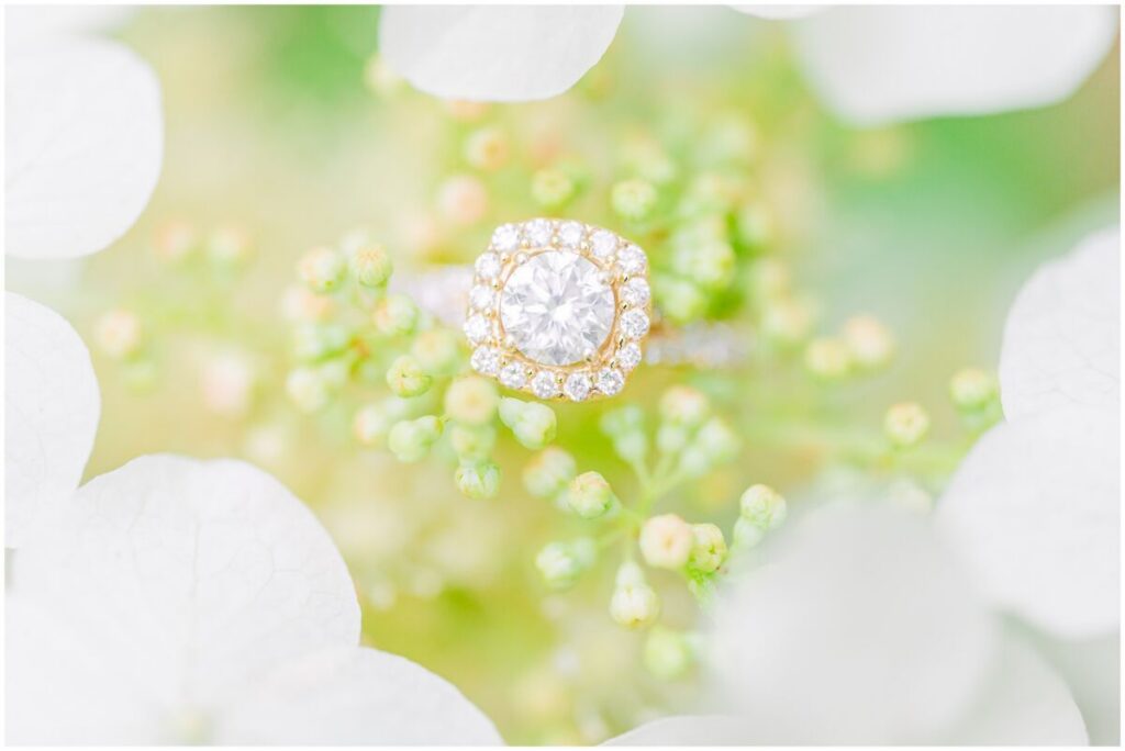 An engagement ring in white flowers