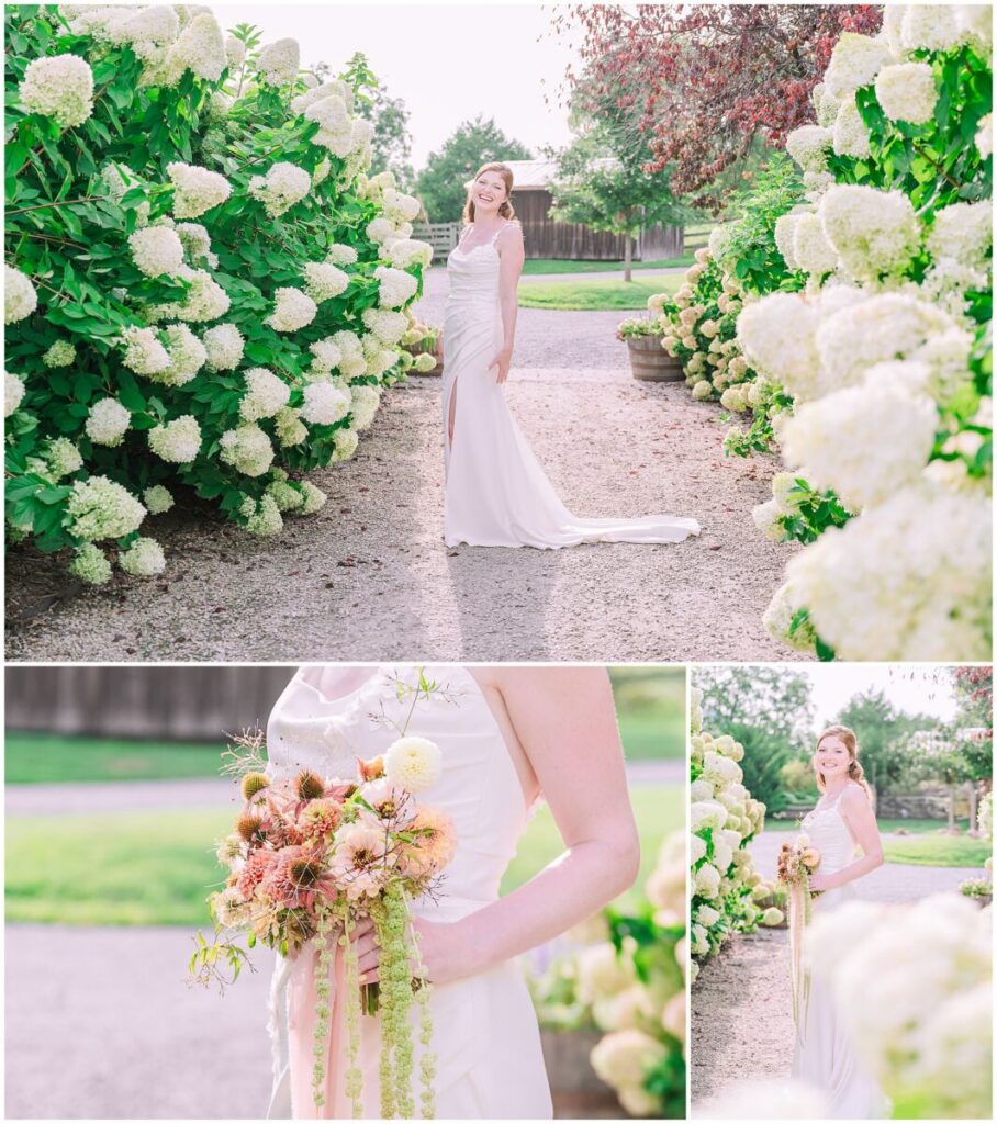 A happy red headed bride enjoying her bridal portraits during a beautiful fall sunset near Charlottesville Virginia in a garden of white hydrangeas by JoLynn Photography at Big Spring Farm