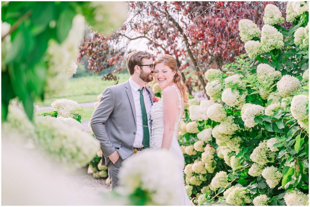 Kisses in a field of hydrangeas at Big Spring Farm